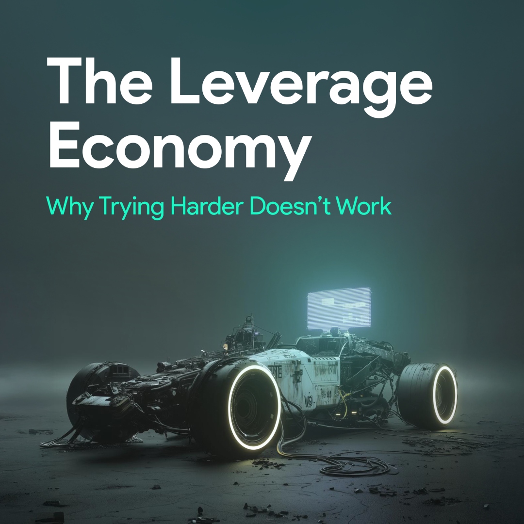 The Leverage Economy book cover